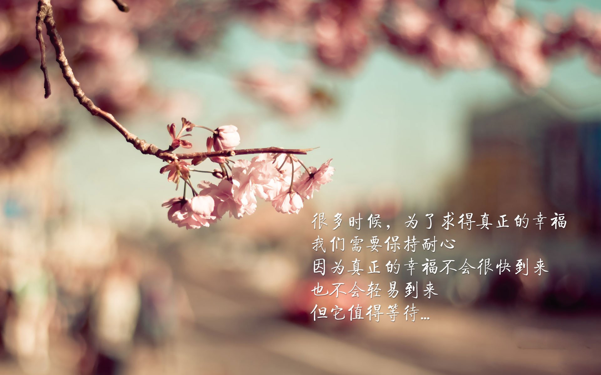 运动员榜单：谁才是真正的台球之王？，台球运动员世界排名排行榜