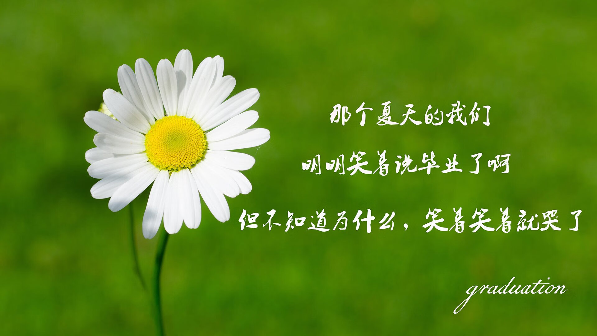 多特蒙德主场2-1逆转美因茨，艰难取胜，多特蒙德vs美因茨 直播