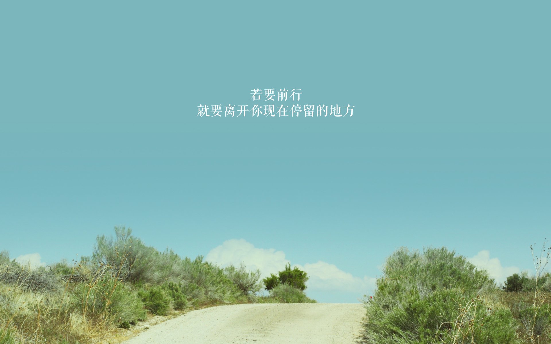 德甲球员视觉追踪训练提高战术执行速度的探索，视觉足球