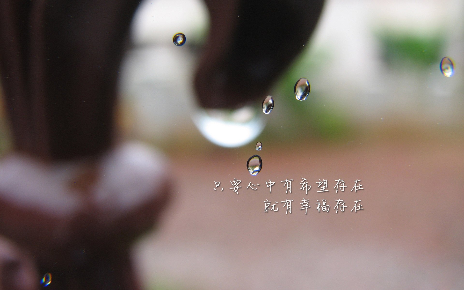 开云官网首页-叶夫根尼娅·奇库诺娃以实力回应所有挑战，叶夫根尼娅·格罗百科